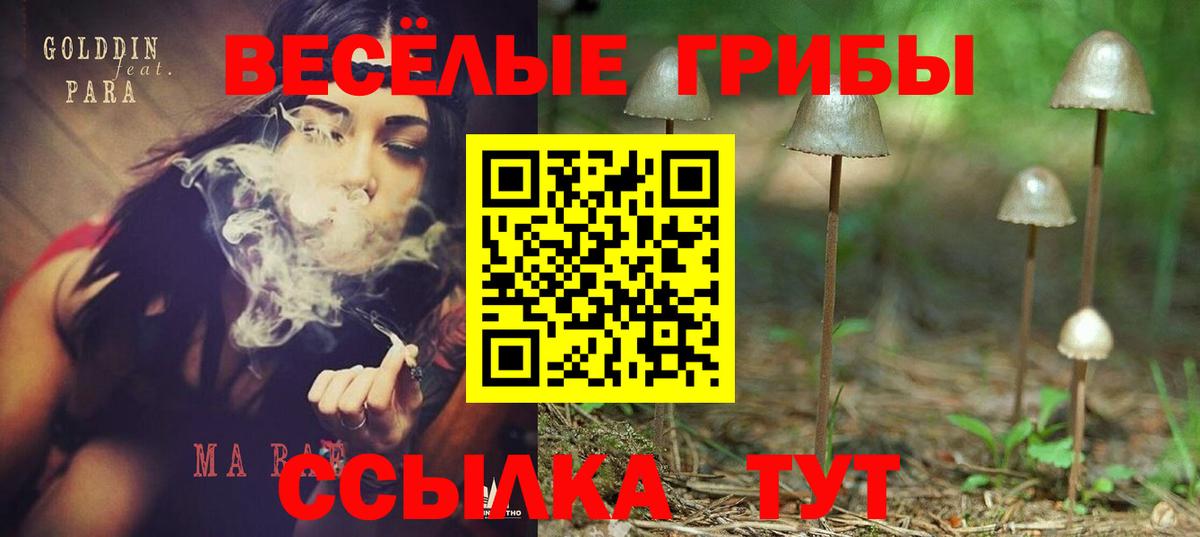 Псилоцибиновые грибы прущие грибы Борзя